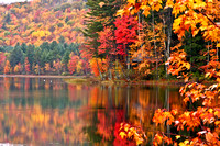 Fall New Hampshire